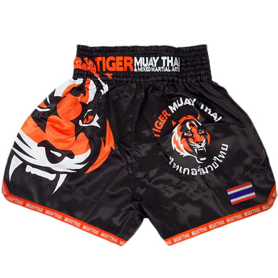 MMA Tiger Muay Thai boxing boxing match Sanda training
