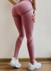 Women Seamless Leggings for Fitness